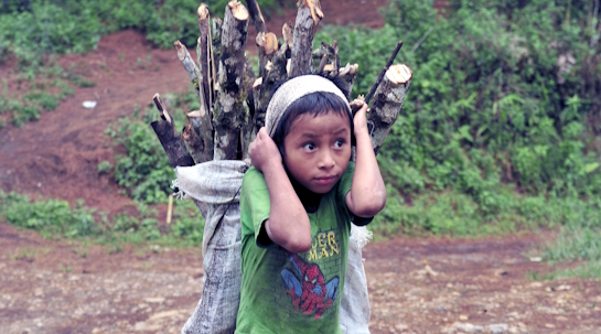 12/06/2024 Una lacra que afecta a más de 150 millones de niños en todo el mundo