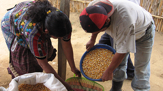 28/05/2014 Fundación Juan Bonal en el Día Mundial de la Nutrición.